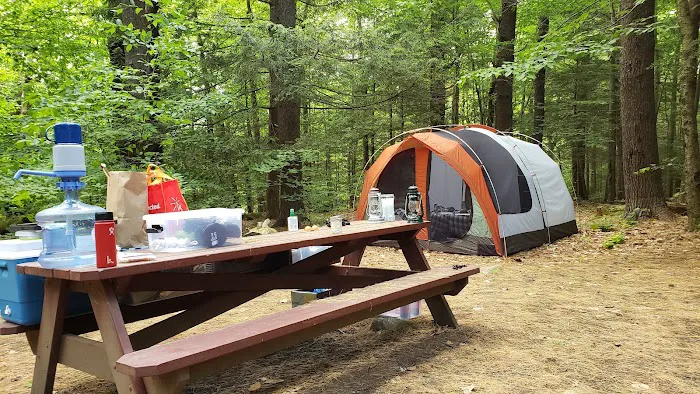 Tolland Campsite #79 Picture 4