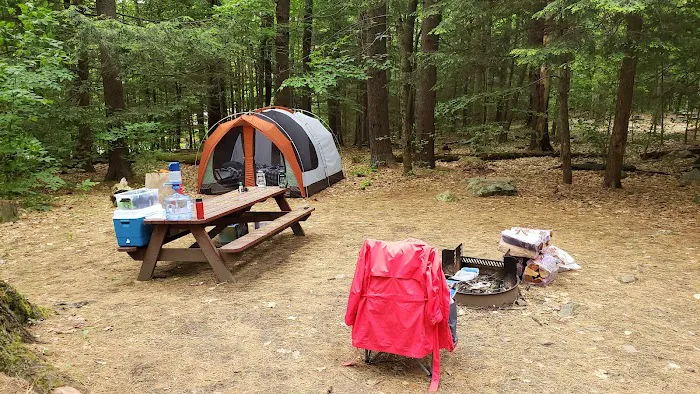 Tolland Campsite #79 Picture 1