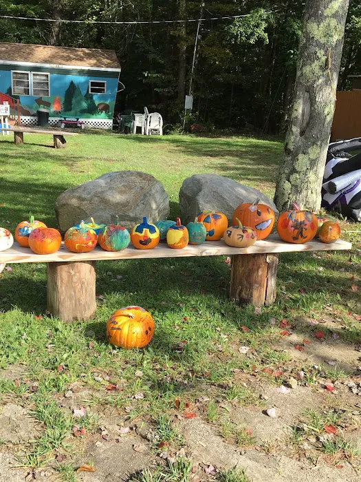 White Pines Campsites Picture 10