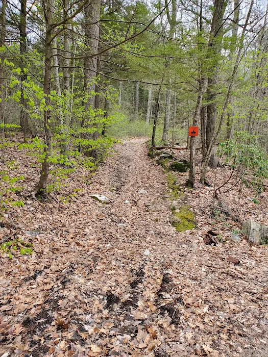 Big Spring Area Picture 1