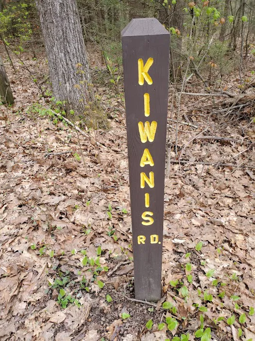 Big Spring Area Picture 5