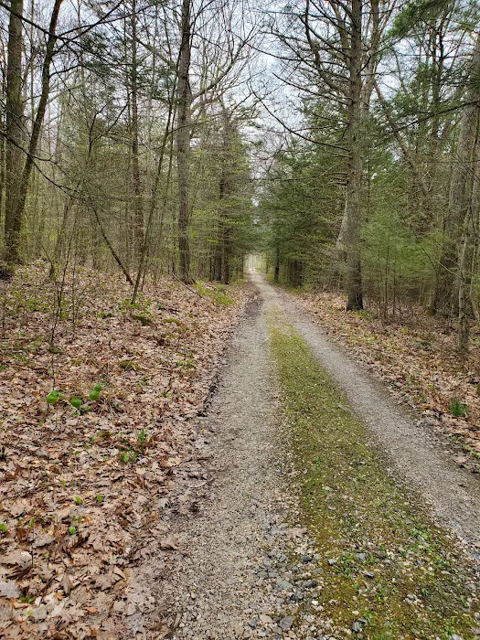 Big Spring Area Picture 6