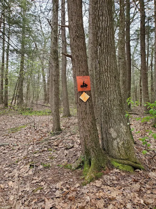 Big Spring Area Picture 4