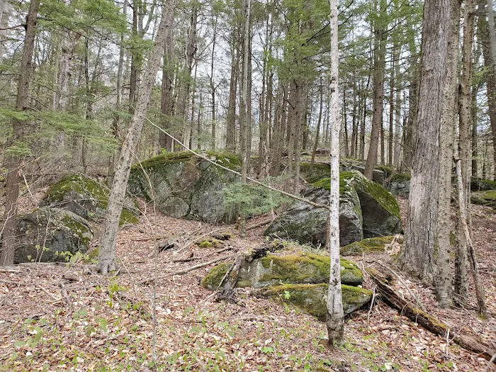 Big Spring Area Picture 7