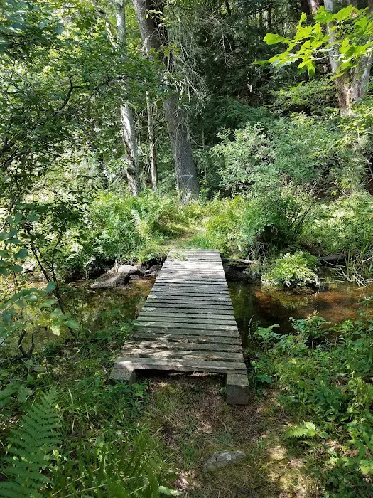 Alps Family Campground Inc Picture 2