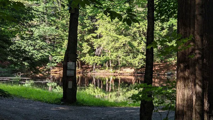 Alps Family Campground Inc Picture 5