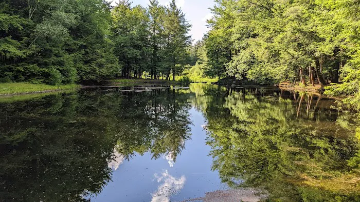 Alps Family Campground Inc Picture 9