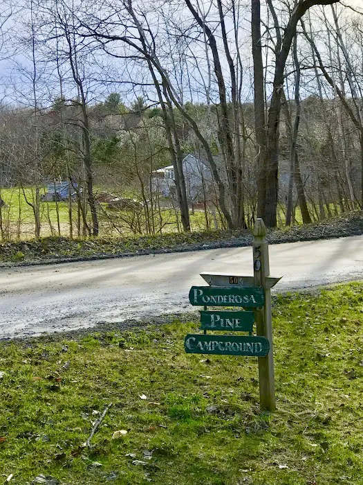 Ponderosa Pine Campground Picture 5