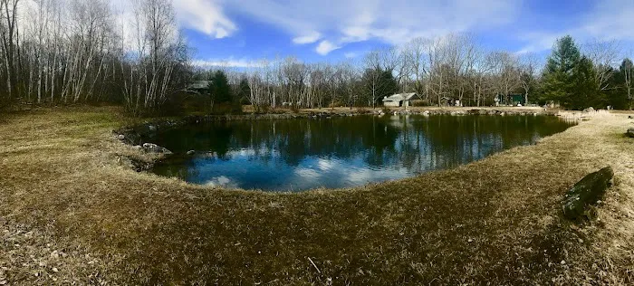 Ponderosa Pine Campground Picture 6