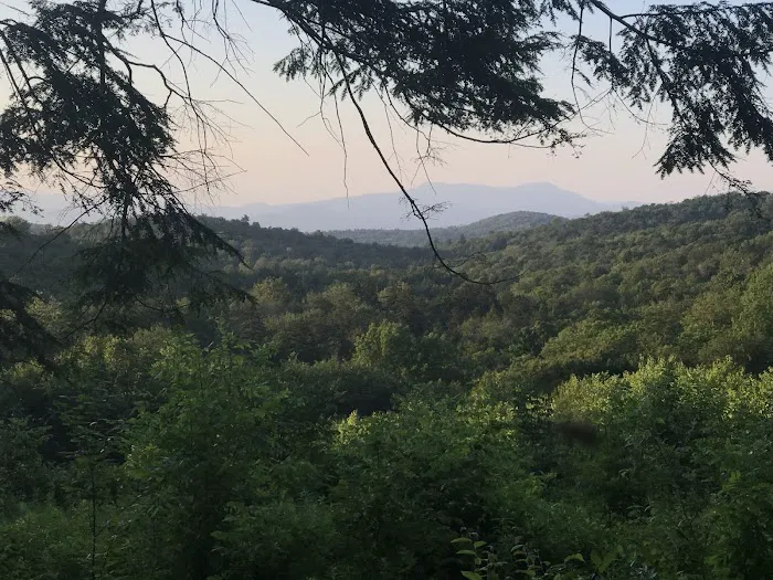 Ponderosa Pine Campground Picture 1