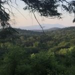 Ponderosa Pine Campground