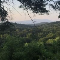 Ponderosa Pine Campground ico