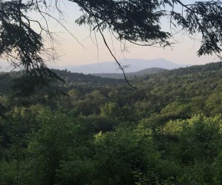 Ponderosa Pine Campground