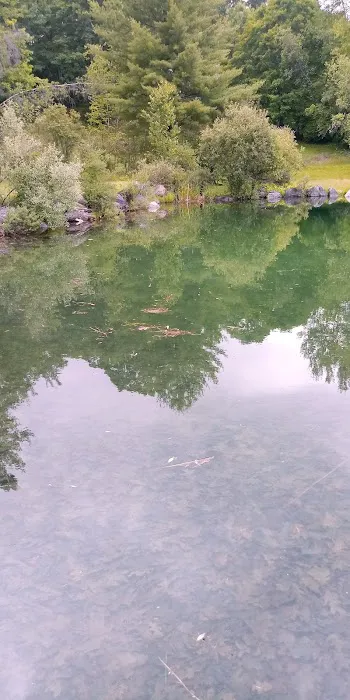 Ponderosa Pine Campground Picture 3