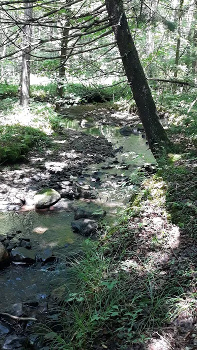 Fernwood Forest Campground Picture 3