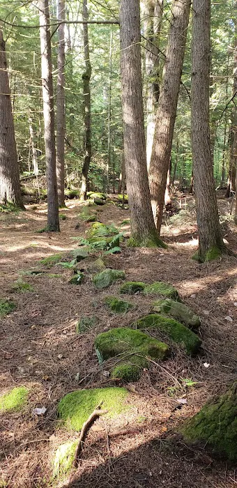 Fernwood Forest Campground Picture 6