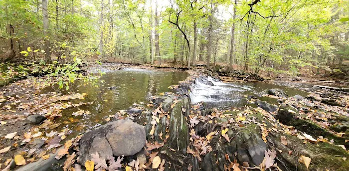 Camp Cedarcrest Picture 3