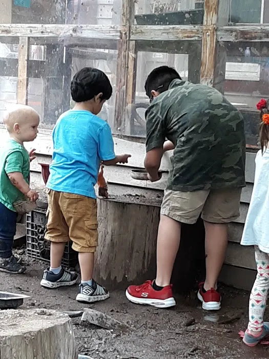 Common Ground Summer Camp Picture 6