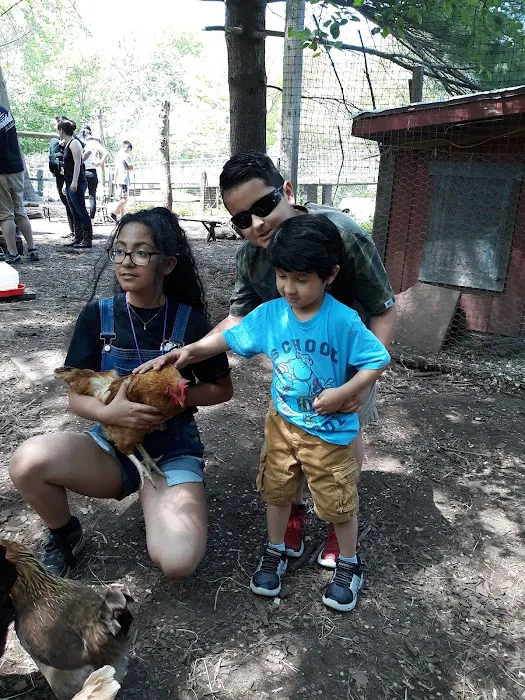 Common Ground Summer Camp Picture 3