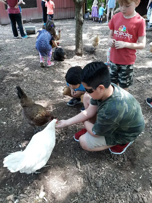 Common Ground Summer Camp Picture 8