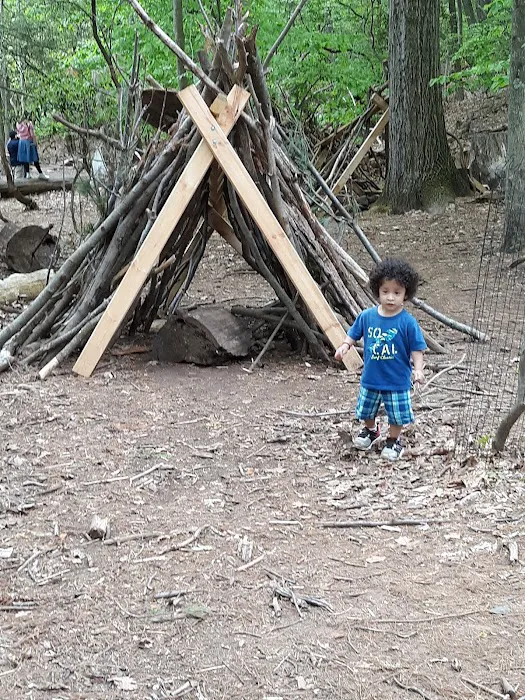 Common Ground Summer Camp Picture 5