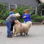 Common Ground Summer Camp