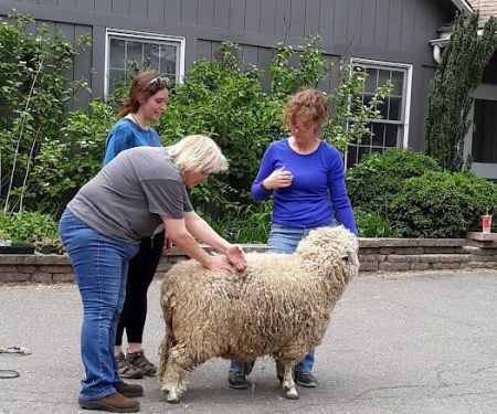 Common Ground Summer Camp