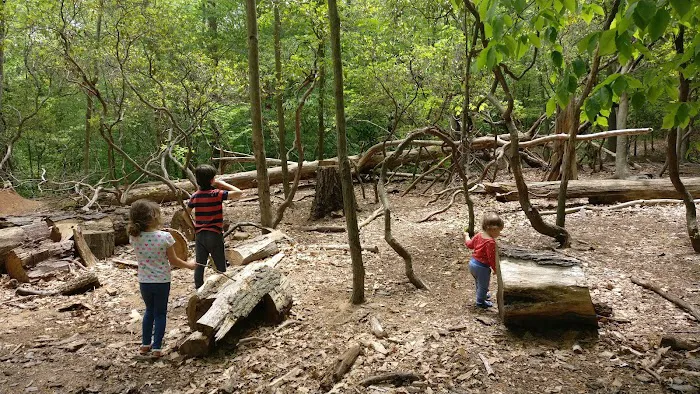 Common Ground Summer Camp Picture 2