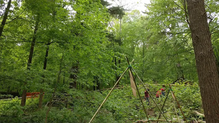 Common Ground Summer Camp Picture 4