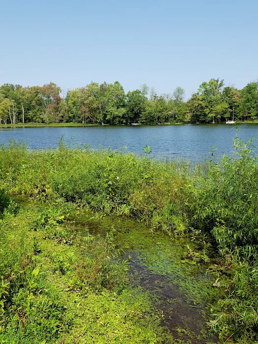 Thompson's Lake Campground Picture 5