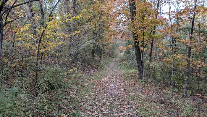 Thompson's Lake Campground Picture 10