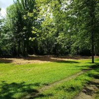 Whitetail Meadows ico