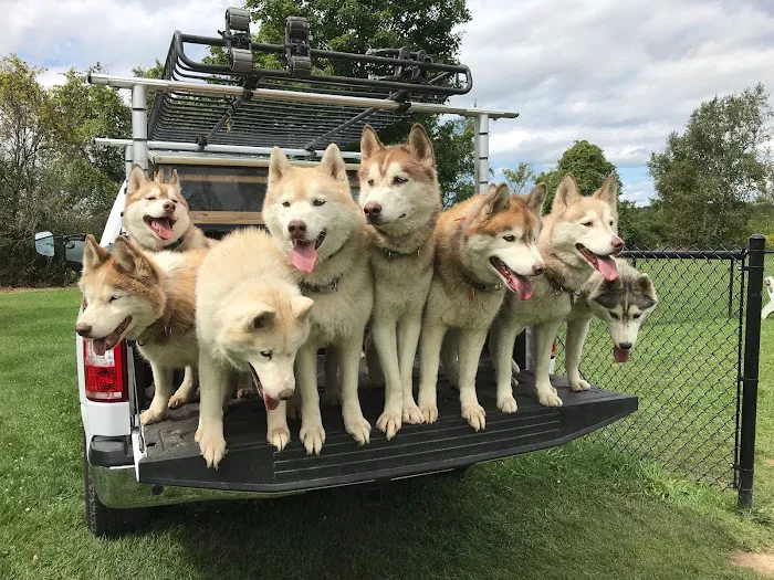 Cooperstown KOA Journey Picture 6