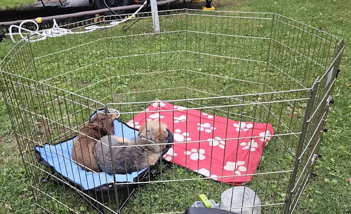 Copes Corners Park Picture 10