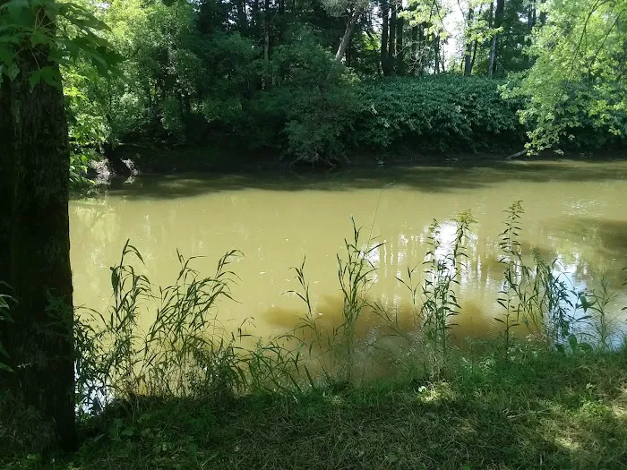 Lizzie's Campground Corporation Picture 6