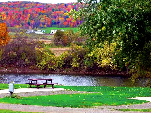 Tall Pines Campground & River Adventures Picture 1