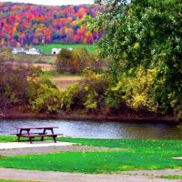 Tall Pines Campground & River Adventures ico