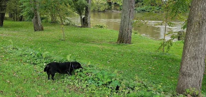 Riverside RV Campground Picture 7