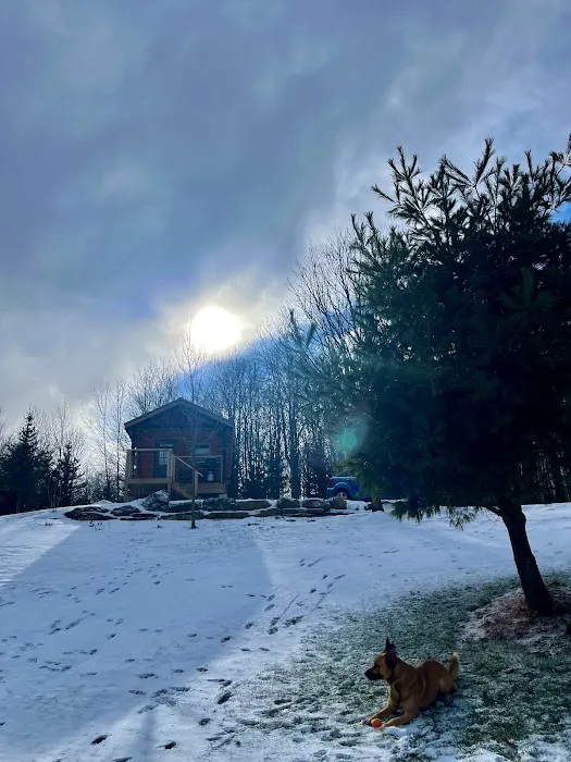 Bear-ly Camping LLC Picture 2