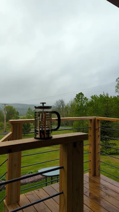 Bear-ly Camping LLC Picture 1