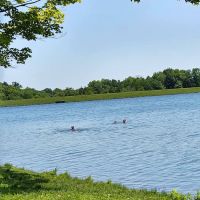 Millbrook Reservoir ico