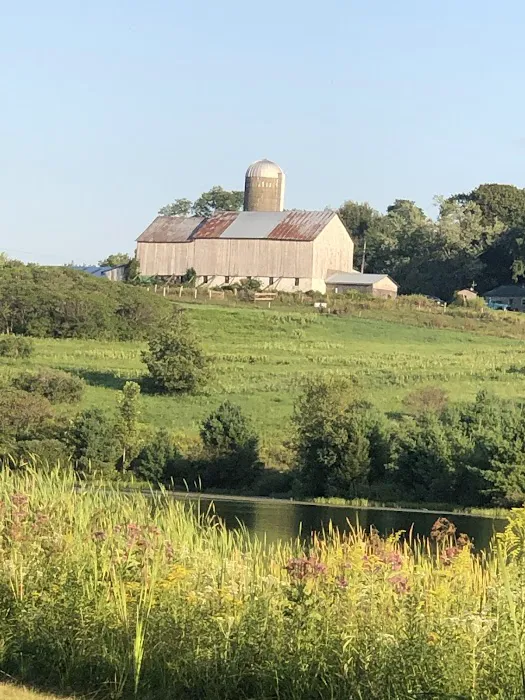 Millbrook Reservoir Picture 10