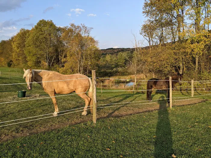 Pure Country Campground Picture 9