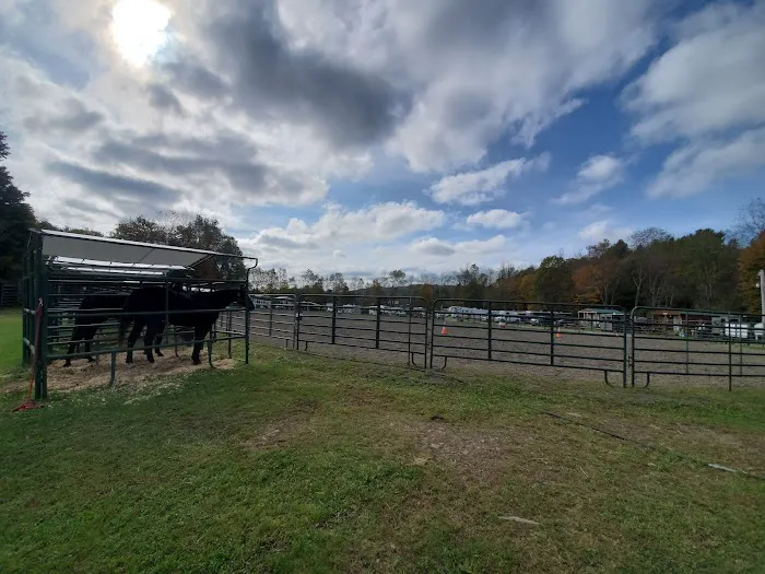 Pure Country Campground Picture 2