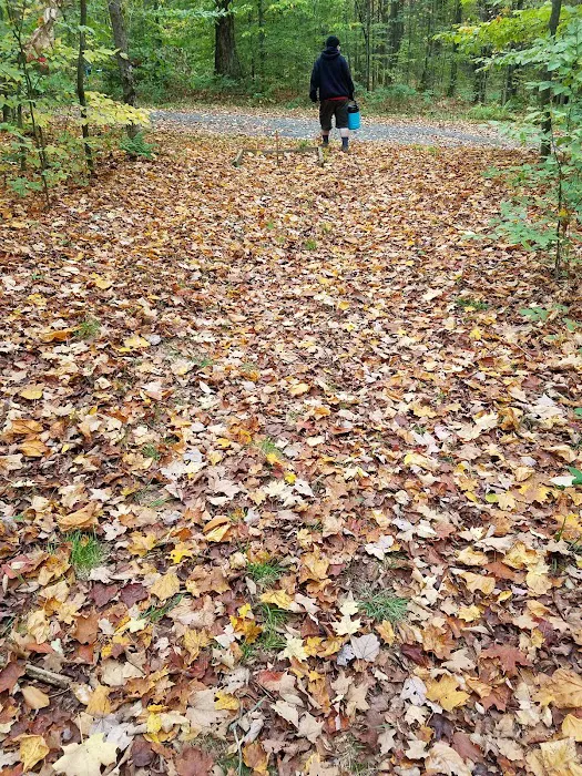 Cherry Ridge Campground Picture 7