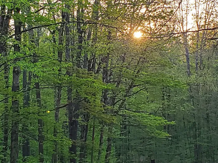 Cherry Ridge Campground Picture 1