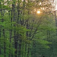 Cherry Ridge Campground ico