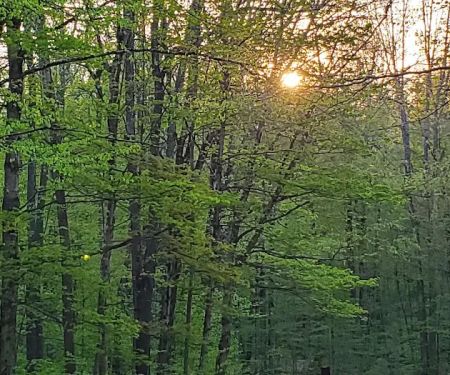 Cherry Ridge Campground