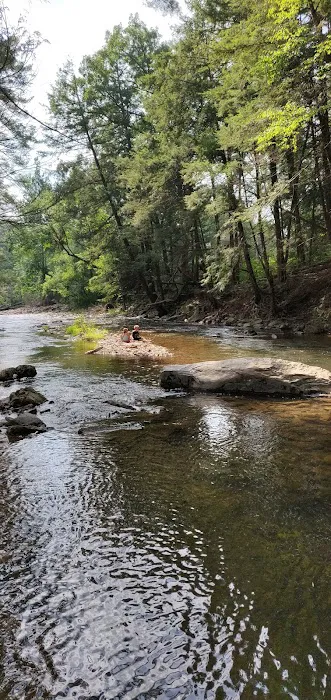 Springbrook Family Campground Picture 4