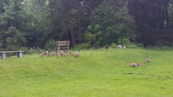 Springbrook Family Campground Picture 7